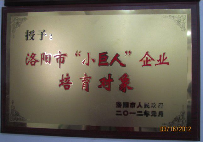 资质证书